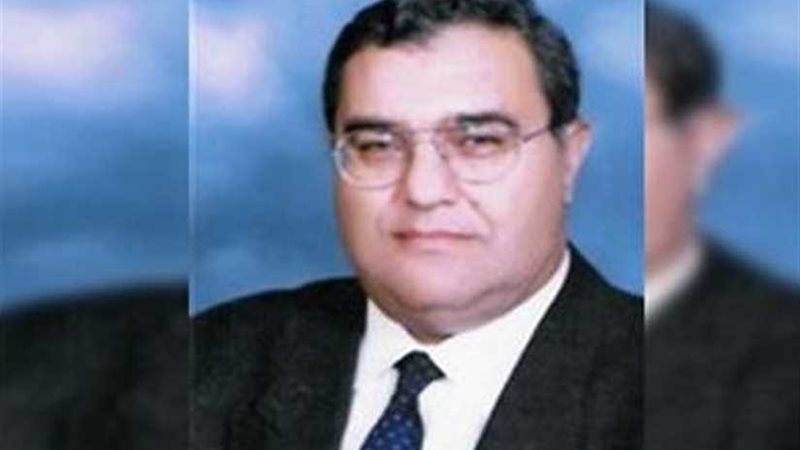 الدستورية العليا