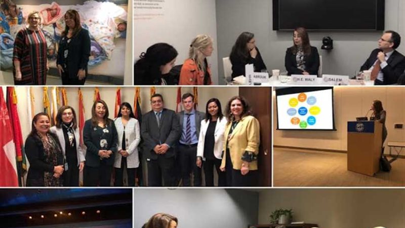 وزيرة التضامن تنهي