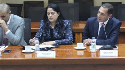 ميكنة الإجراءات الضريبية الموحدة للدخل والقيمة المضافة والدمغة ورسم التنمية