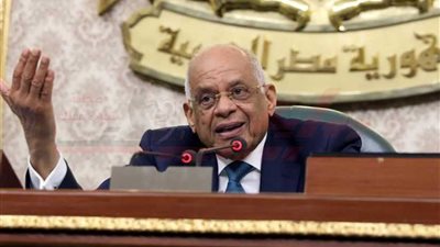 عاجل.. مجلس النواب يوافق مبدئيا على مشروع قانون 