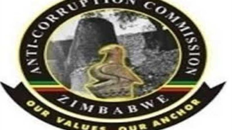 يورونيوز: اعتقال