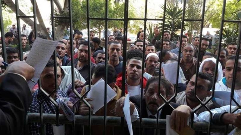 بيع أكثر من 3 آلاف