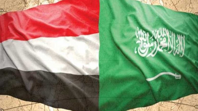 الحكومة اليمنية والمجلس