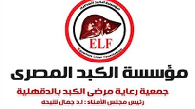 جمال شيحة: 5313 كشفًا طبيًا و575 أشعة فيبروسكان و59 عملية جراحية مجانًا خلال أكتوبر 2019