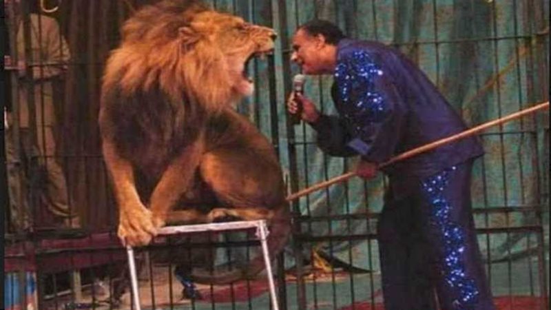 وفاة مدرب الأسود