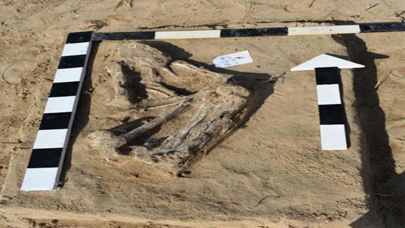 الكشف عن جزء من جبانة