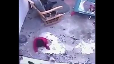 قطة تنقذ طفلا من السقوط على السلالم