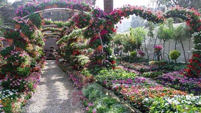 وزير الزراعة يفتتح معرض زهور الخريف بالمتحف الزراعي