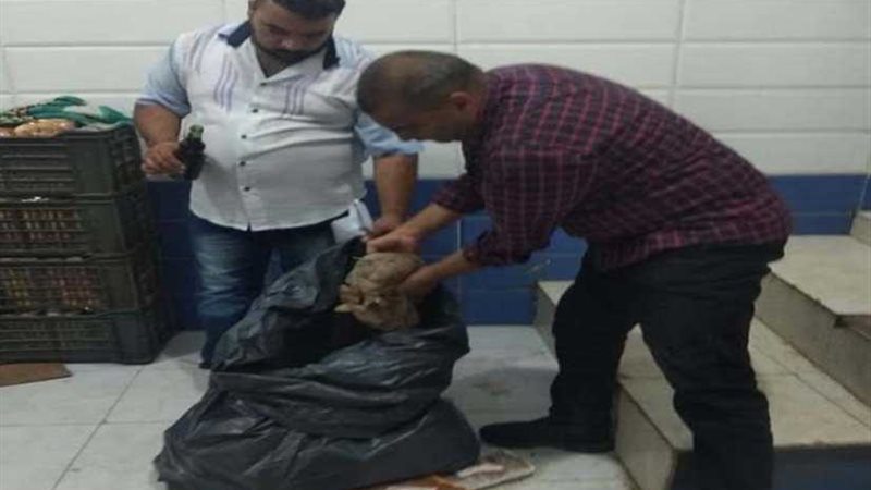 صحة الشرقية: ضبط