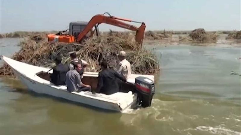 بالفيديو.. نتائج