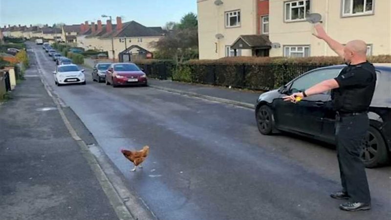 ضابط شرطة يوقف السيارات