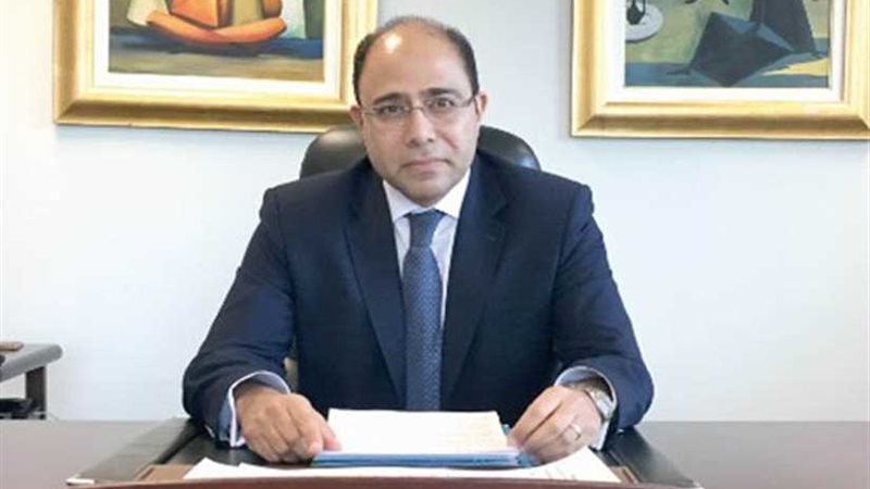 السفير المصري في