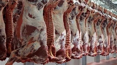 الغرفة التجارية بكفرالشيخ تقيم شوادر لحوم بأسعار مخفضة للمستهلكين