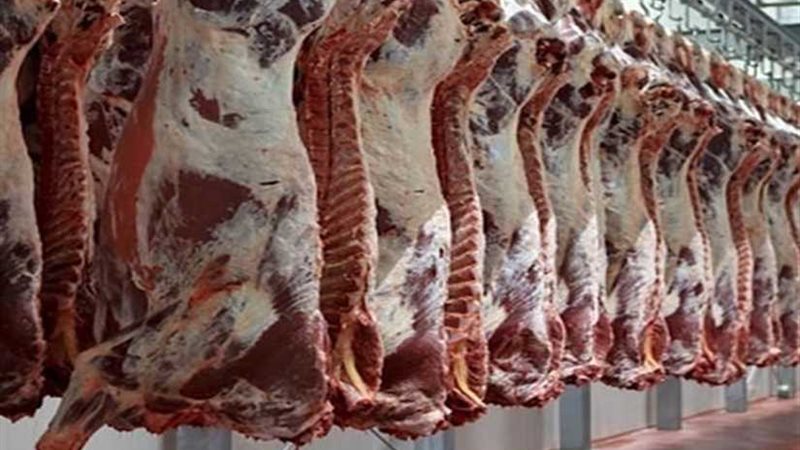 الغرفة التجارية بكفرالشيخ