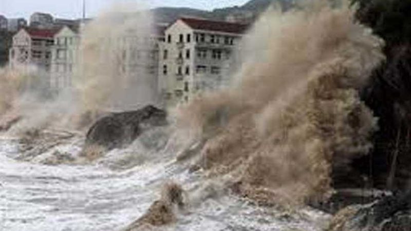 بلبل يتسبب فى مصرع