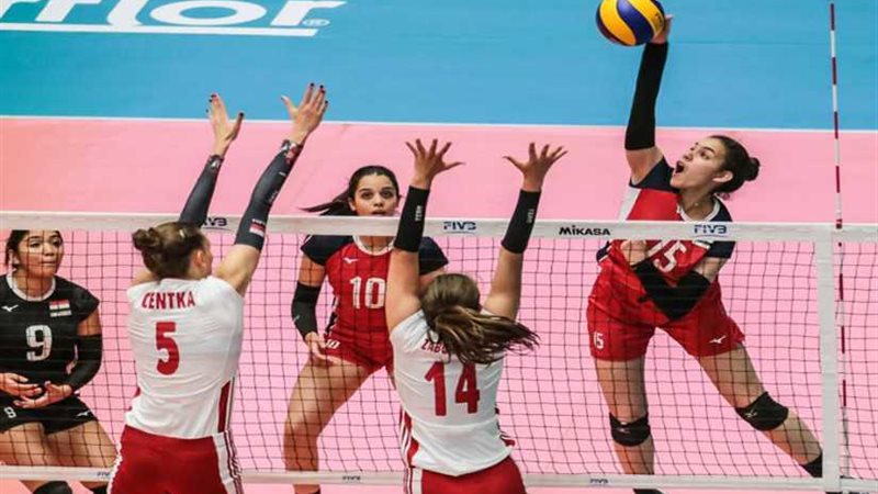 سيدات الطائرة في