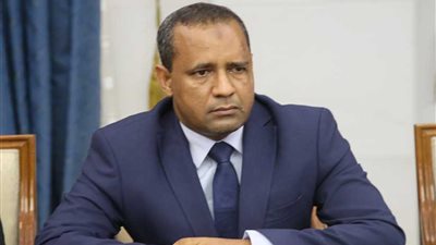 وزير النقل الموريتاني يتوجه إلى القاهرة
