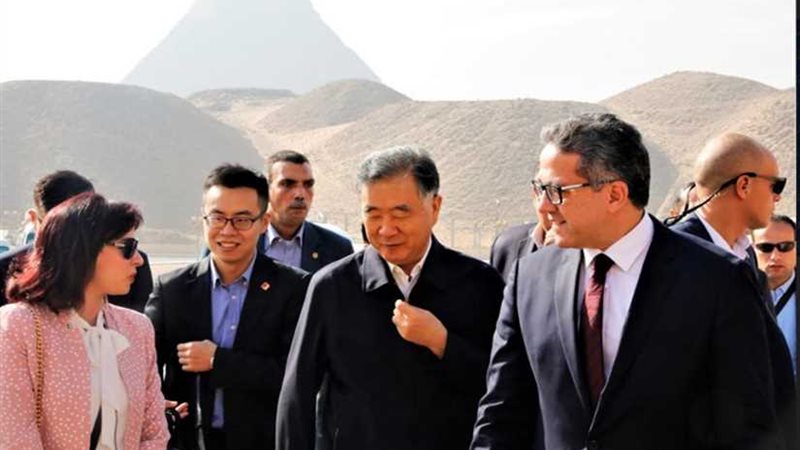 العناني يستقبل رئيس