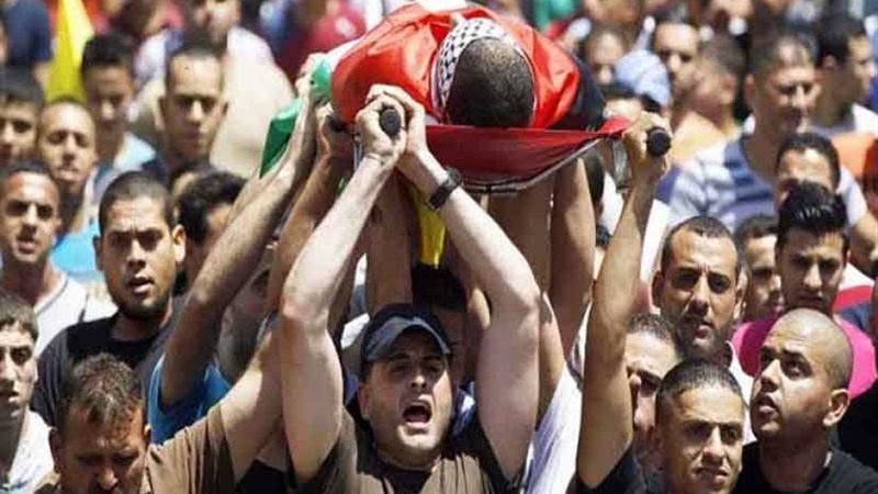 تعليم غزة: استشهاد