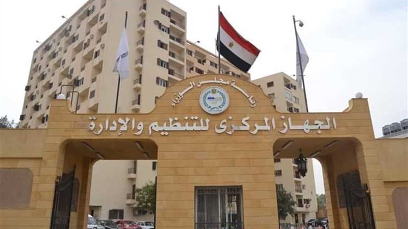 التنظيم والإدارة