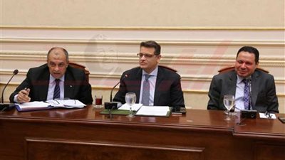 وزير الزراعة: نأمل أن تصل 