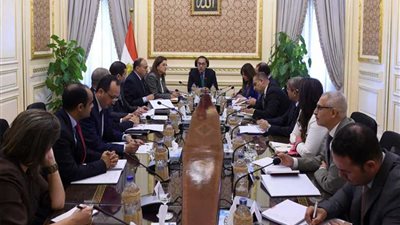 رئيس الوزراء يستعرض نتائج لجنة المرور على صوامع تخزين القمح على مستوى الجمهورية