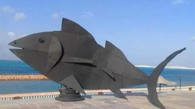 قصور الثقافة تنفذ