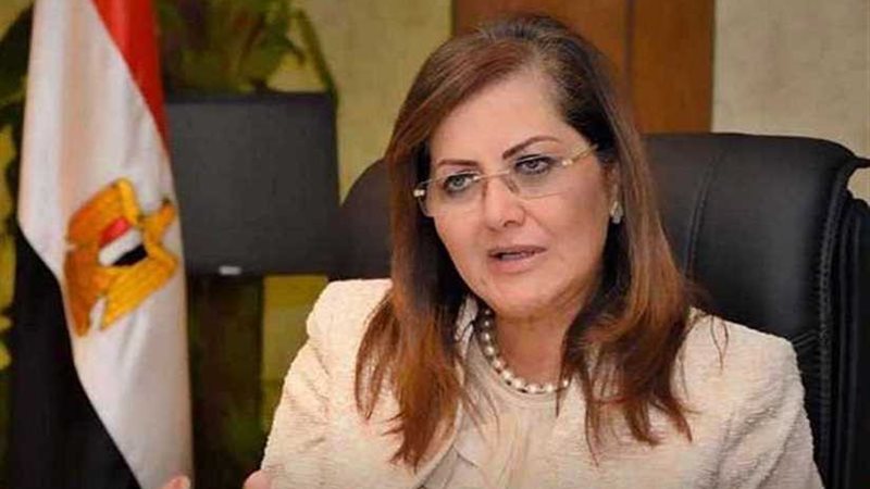 السعيد: الحكومة المصرية