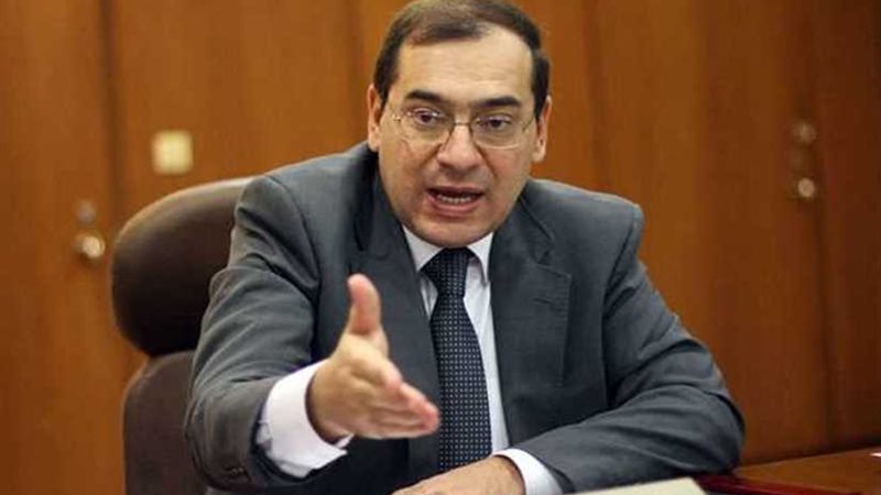 وزير البترول: دعم