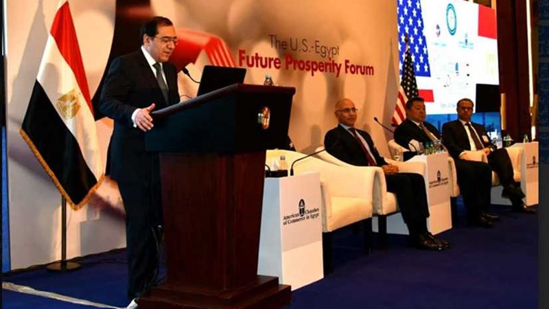 وزير البترول أمام