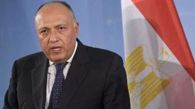 وزير الخارجية: مبادرة