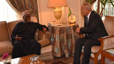 أبو الغيط يؤكد أهمية عمل الآلية الإفريقية وتعزيز الديمقراطية