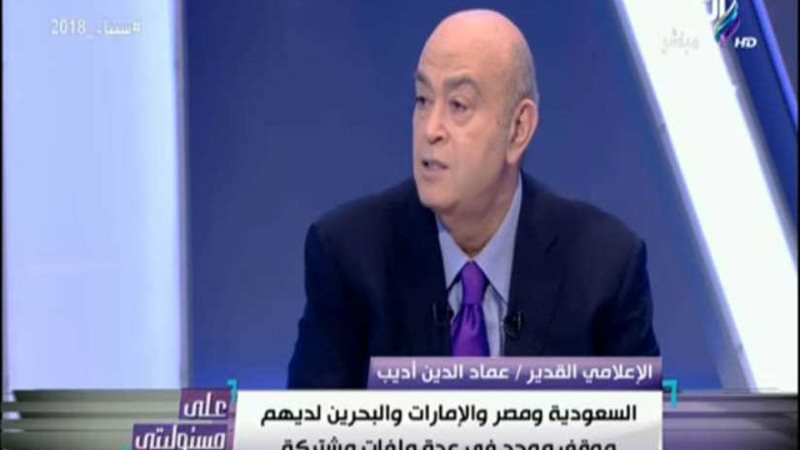 عماد أديب: استثمارات