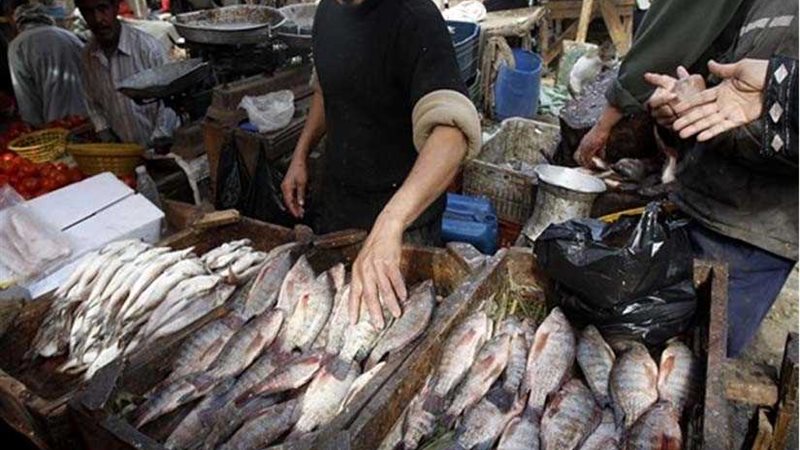 الزراعة تطرح كميات