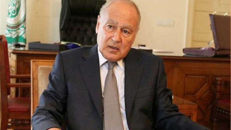 أبوالغيط يلتقي وفدا