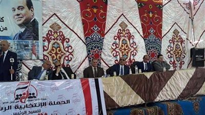 بالصور.. طوخ وقها تنتفضان لدعم الرئيس السيسي