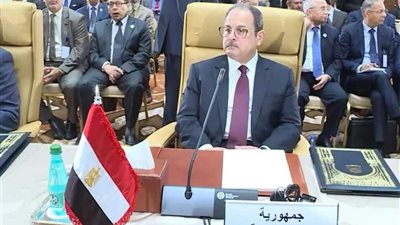 نص كلمة مجدي عبدالغفار في اجتماع وزراء الداخلية العرب