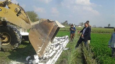 إزالة 54 تعديًا على الأراضي الزراعية بالبحيرة 