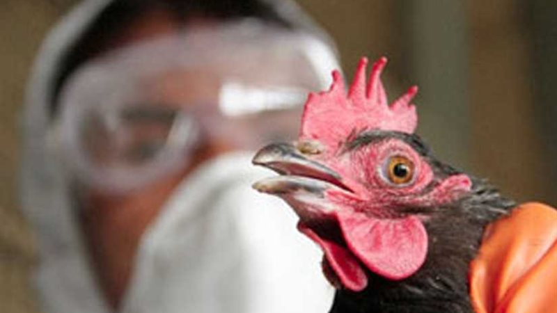 ظهور بؤرتين جديدتين