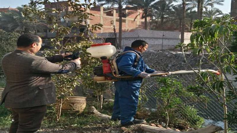 القليوبية: حملة شاملة