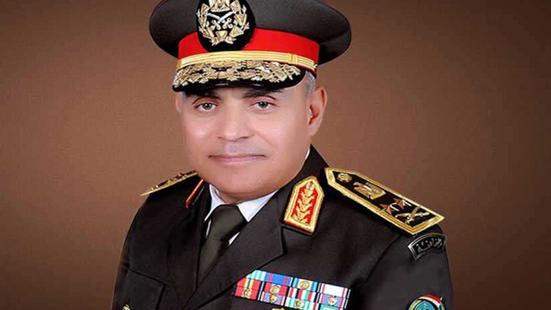 السيسي ينيب وزير