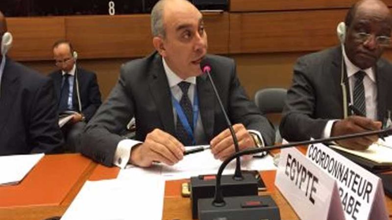 رد حاسم من القاهرة