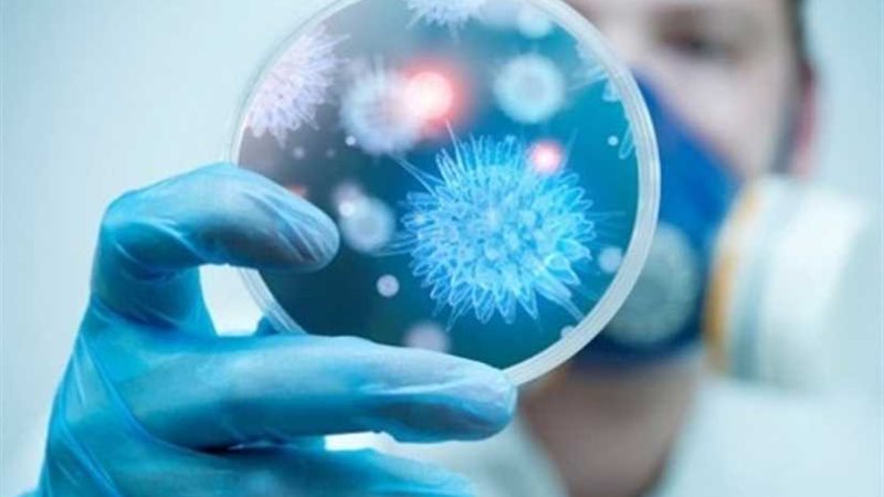 ولكم في تجربة فيروس