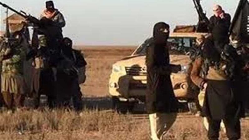  أمريكى  يعترف بأنه