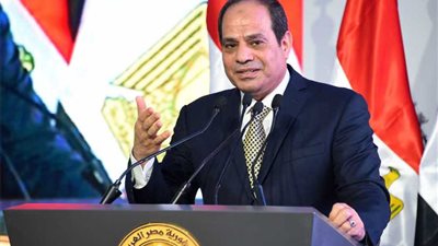 إعلاميون وفنانون في مؤتمر لتأييد الرئيس بالجيزة