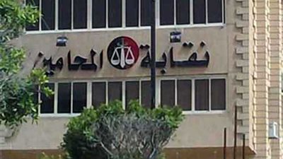 ملفات على مائدة مجلس محامي القليوبية