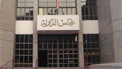 بطلا الجمعية العمومية للأهلي أمام القضاء غدا