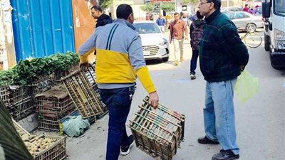 ضبط 974 مخالفة خلال إزالة الإشغالات بالمنصورة