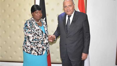 وزير الخارجية يبحث مع نظيرته الكينية العلاقات الثنائية والقضايا الإقليمية