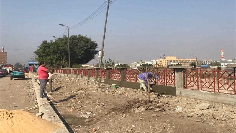 شباب شبرا الخيمة